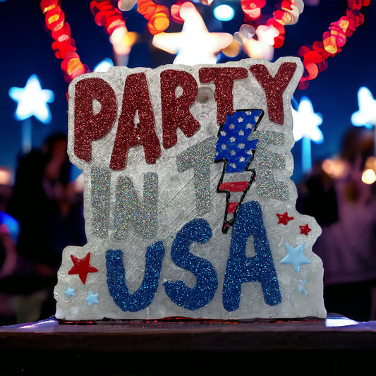 Party in the USA