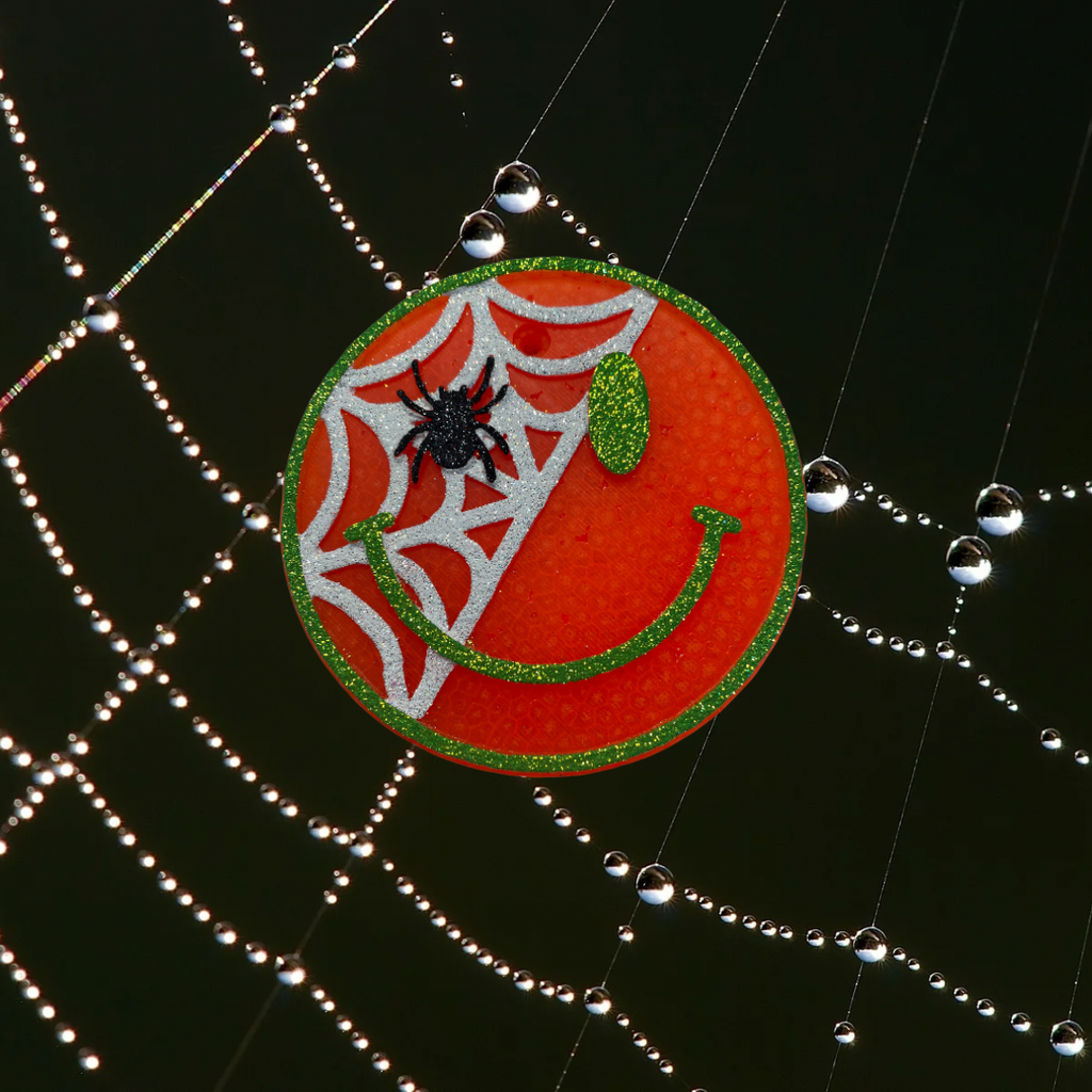 Spider Web Smiley