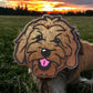 Golden Doodle