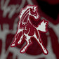 Bronco Horse