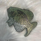 Crappie Fish