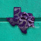 Cow Print Texas